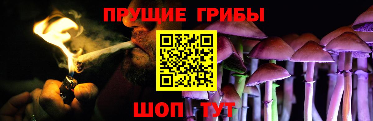 Гуково  Галлюциногенные грибы Psilocybe  Вход с VPN  Псилоцибиновые грибы Psilocybe 